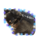 きな太郎のきもち（個別スタンプ：21）