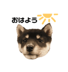 ほたるの日常 ①（個別スタンプ：13）