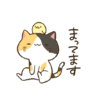まるいおかおのねこさんたち（個別スタンプ：22）