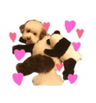 ozakipets（個別スタンプ：5）