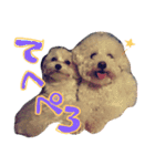 ozakipets（個別スタンプ：10）