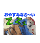 シーズー犬ラニちゃん（個別スタンプ：2）