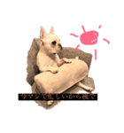 わんぱく家族（個別スタンプ：1）