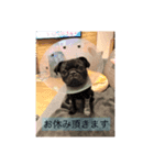 わんぱく家族（個別スタンプ：7）