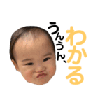 らんちゃんのスタンプ1（個別スタンプ：7）