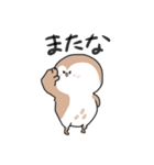 すずめちゅん（個別スタンプ：9）
