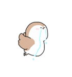 すずめちゅん（個別スタンプ：14）