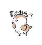 すずめちゅん（個別スタンプ：24）