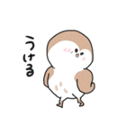 すずめちゅん（個別スタンプ：29）