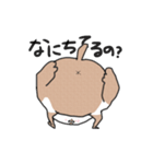 すずめちゅん（個別スタンプ：32）