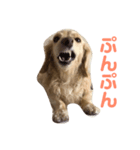 ぽぽの日常part1（個別スタンプ：2）