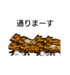 どうぶつのむれ+干支（個別スタンプ：38）