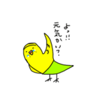 インコのピーソー（個別スタンプ：6）