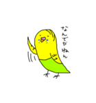 インコのピーソー（個別スタンプ：11）
