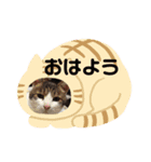 愛おしい者（個別スタンプ：5）