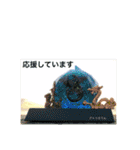 オルゴナイトとカタカムナの融合スタンプ①（個別スタンプ：15）