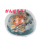 オルゴナイトとカタカムナの融合スタンプ①（個別スタンプ：16）