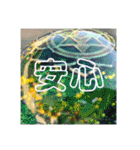 オルゴナイトとカタカムナの融合スタンプ①（個別スタンプ：27）