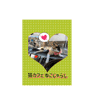 猫カフェ ねこじゃらし  猫たちの写真（個別スタンプ：1）