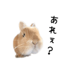 桃尻桃ほっぺの桃様2（個別スタンプ：9）
