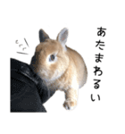 桃尻桃ほっぺの桃様2（個別スタンプ：16）