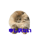 モカちん2（個別スタンプ：6）