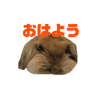モカちん2（個別スタンプ：7）