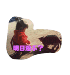 赤ちゃんの希望（個別スタンプ：10）
