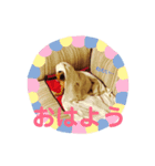 ♡しゅん♡（個別スタンプ：1）