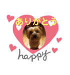 ♡しゅん♡（個別スタンプ：3）