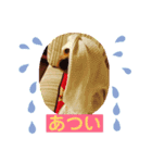 ♡しゅん♡（個別スタンプ：9）