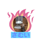 ♡しゅん♡（個別スタンプ：10）