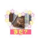 ♡しゅん♡（個別スタンプ：11）