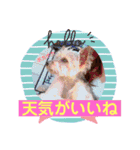 ♡しゅん♡（個別スタンプ：14）