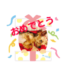 ♡しゅん♡（個別スタンプ：15）