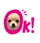 らいすたんぷダョ（個別スタンプ：3）