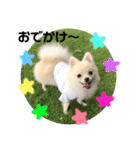 らいすたんぷダョ（個別スタンプ：11）
