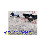 茶々婆ちゃん＆UGO-3 ワンコの本音（個別スタンプ：3）