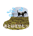 茶々婆ちゃん＆UGO-3 ワンコの本音（個別スタンプ：6）