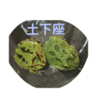 KAZOOスタンプ（個別スタンプ：5）