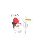 いちご猫スタンプ 【日常会話】by P（個別スタンプ：17）