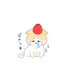 いちご猫スタンプ 【日常会話】by P（個別スタンプ：31）