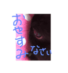 黒うさぎお仕事スタンプ（個別スタンプ：1）