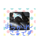 黒うさぎお仕事スタンプ（個別スタンプ：2）