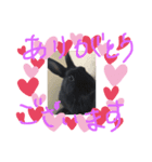 黒うさぎお仕事スタンプ（個別スタンプ：4）