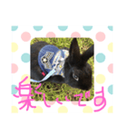 黒うさぎお仕事スタンプ（個別スタンプ：6）