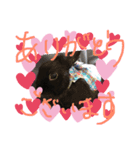 黒うさぎお仕事スタンプ（個別スタンプ：7）