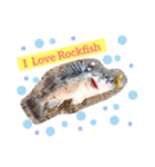 釣りGIRL♡Rockfish_nanachan（個別スタンプ：4）