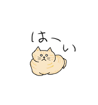 ねこもっふのつぶやき（個別スタンプ：1）