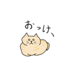 ねこもっふのつぶやき（個別スタンプ：10）